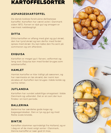 Overview of potato sorts